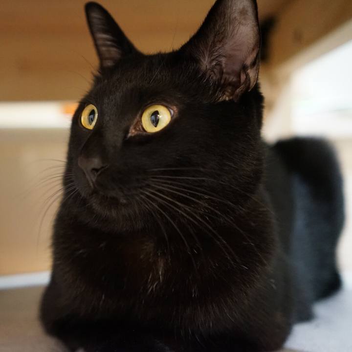 2fef0238 2de8 460a 9161 a3311772f8b7 1509200271100