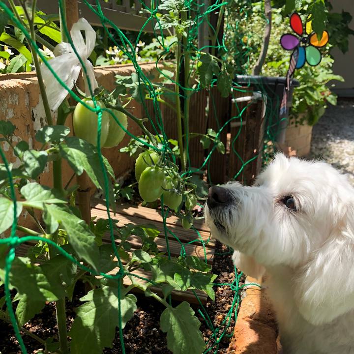 2fef2f7a 9859 4c2a add9 0ca1be2df7a3 1527825860516