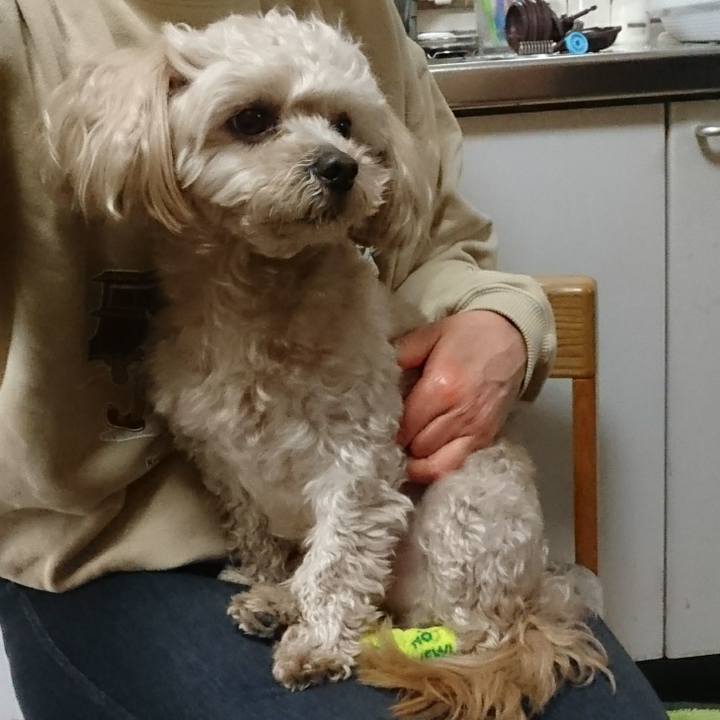 2fef58e6 caea 4d4f 8c80 c14a163e1e1b 1523069501517