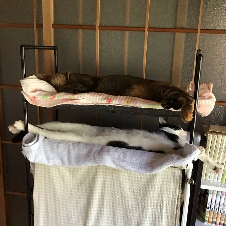 2fef79ac e9b8 42ff b6ae 71fe94716740 1631759515434