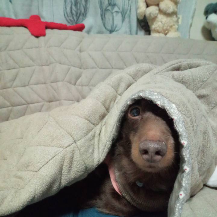 2fef9674 56cc 4d41 a03d daad64a0a006 1773090014554