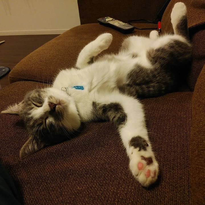 2fef975c a67f 4f81 9d5f 79a75a707924 1570870243273