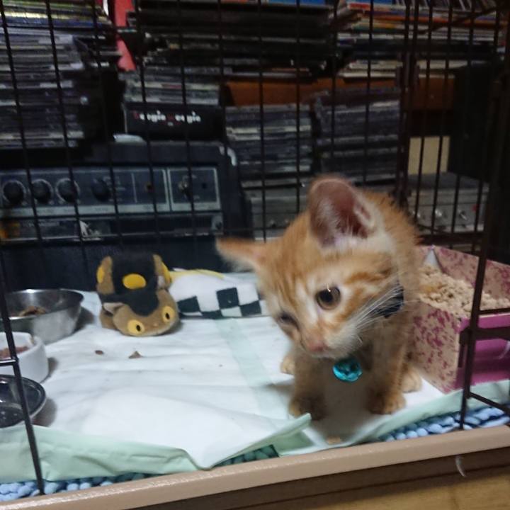 2fefa04f 1ec7 41ac ab32 ccb5b7a2161d 1627906166443