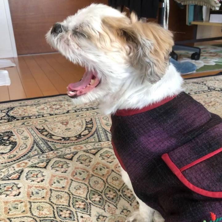 2fefb3f6 c610 4d71 870c 61e0c4f5dfd6 1609797132408