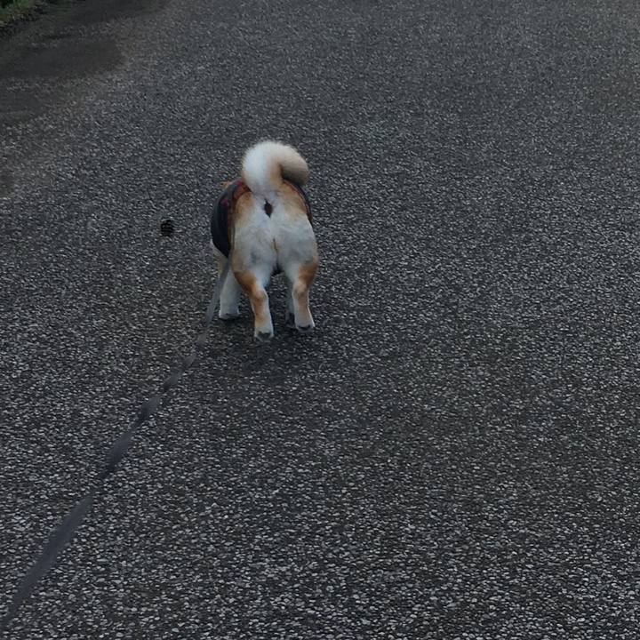 2fefcb67 18a7 46ca 8daa 677df9535a52 1542682293134