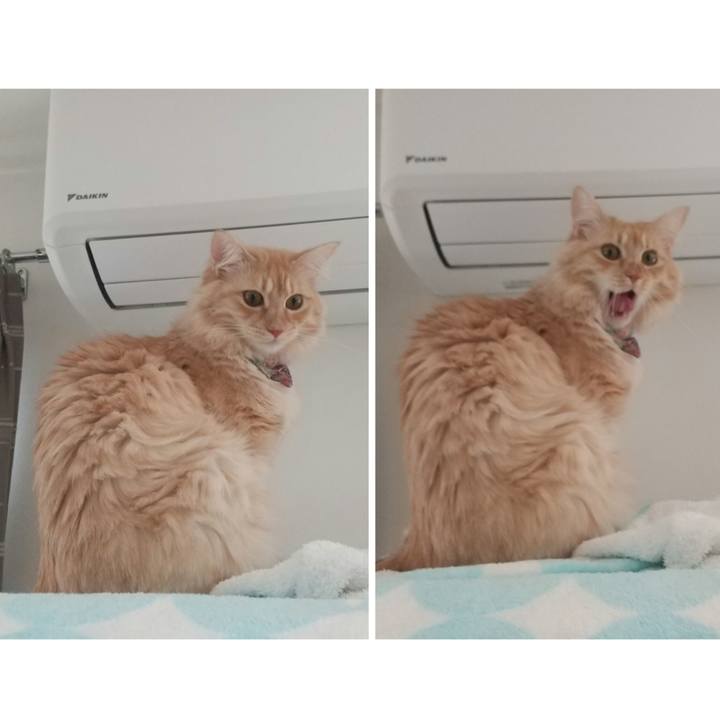 2fefcba4 a24d 401e 8e76 409cbfc56791 1640225773621