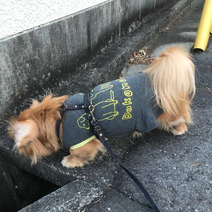 2fefe753 0cf3 4e30 a3af c86bcb541aa9 1519768321728