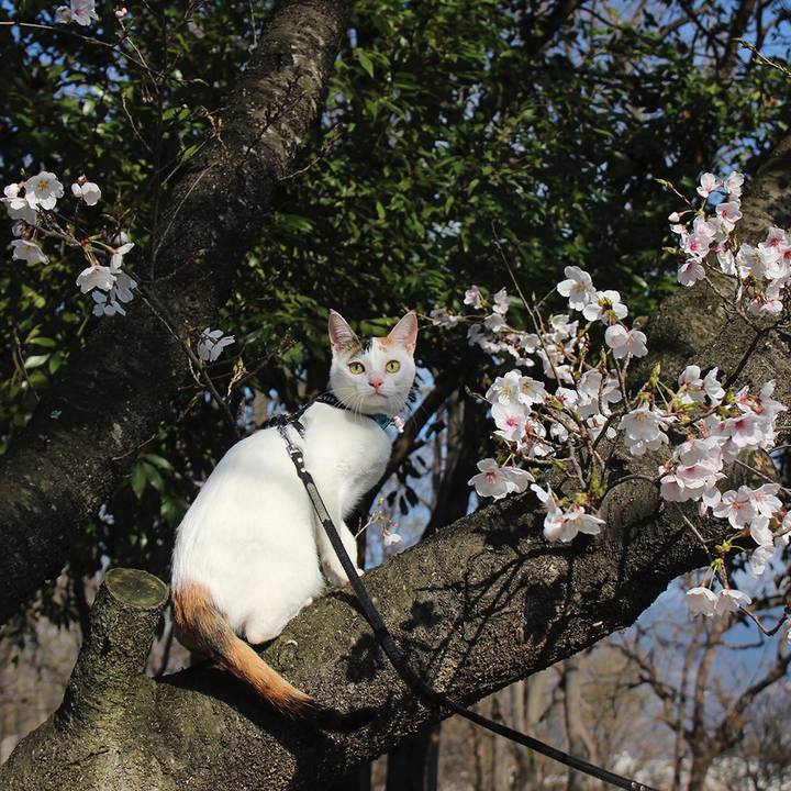 2ff00d68 183b 4105 93ad d2ae4ca8eb40 1554379677476