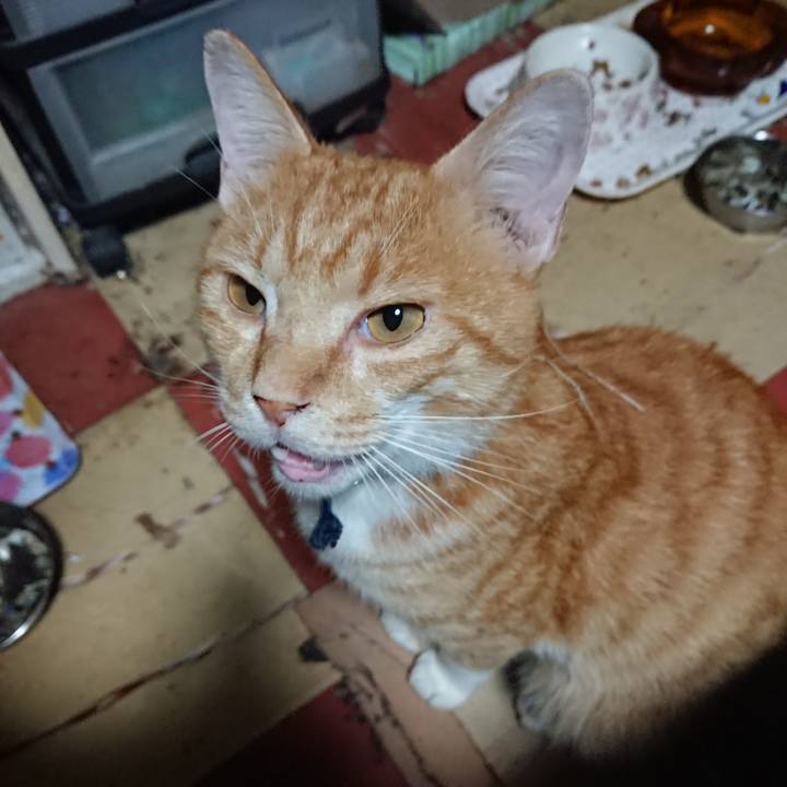 2ff01107 3db0 416a a7e1 3df1f4d61f62 1567022121384