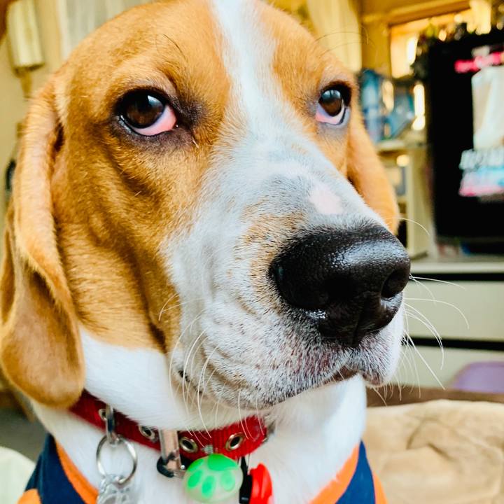 2ff0349a dcb2 4792 98db a1539a829e18 1543030706567