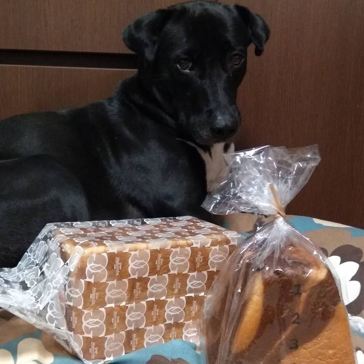 2ff062fa 0852 442d 8017 6478bf4a7954 1594722723303