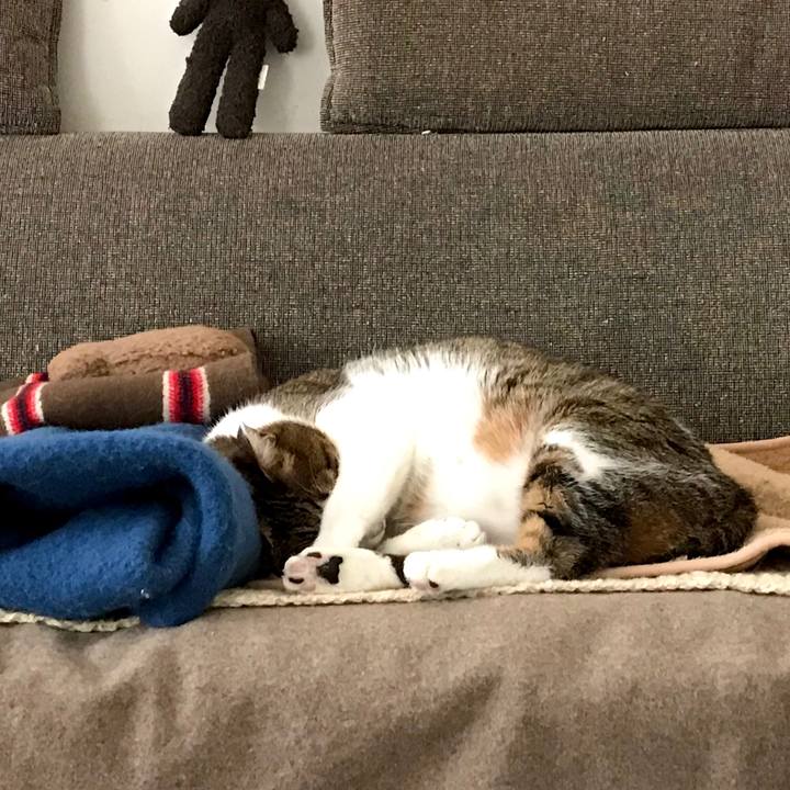 2ff0a8a9 f729 44fa 9204 8b8de98c7547 1578841988591