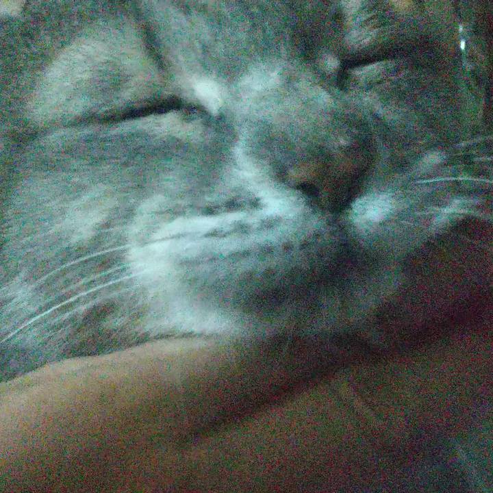 2ff0e989 63b9 442a 9dad f2a873190486 1697874596540