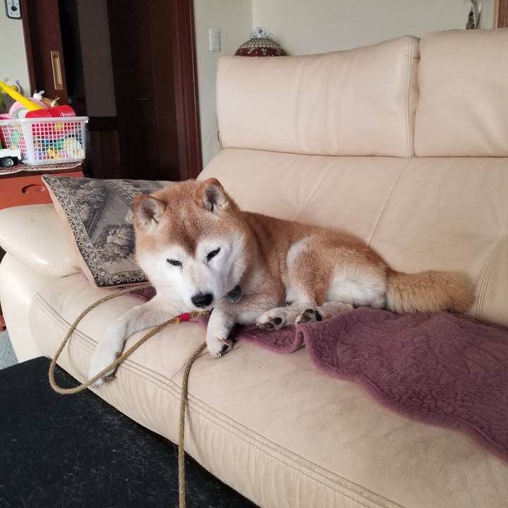 2ff124f4 8757 43b7 9c9b bbd18ecad824 1732750610201