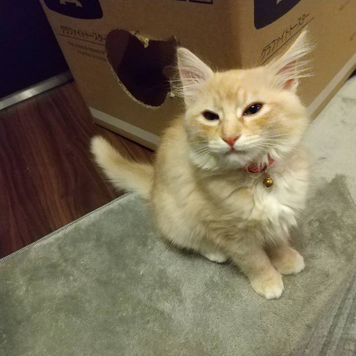 2ff12ef0 6b30 4311 94d0 e94bd4685d37 1605270575103