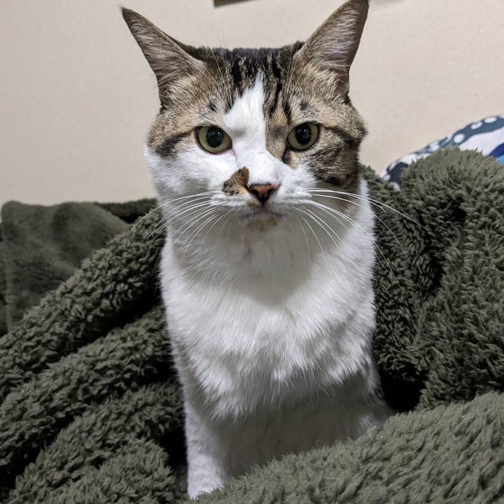 2ff13eea 96e7 4075 b418 9bf5a492fc83 1699784320439