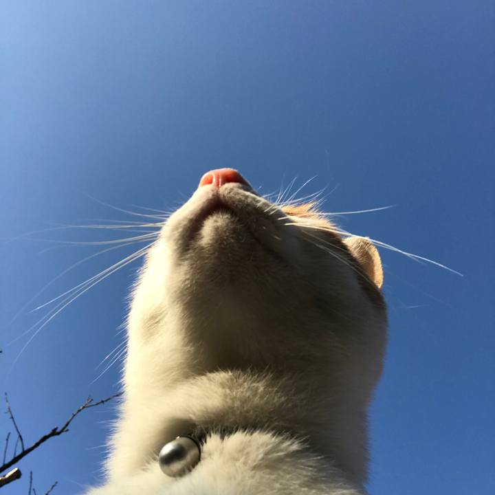 2ff14c46 90ec 4d72 9962 a3103c6d64b8 1520059607100