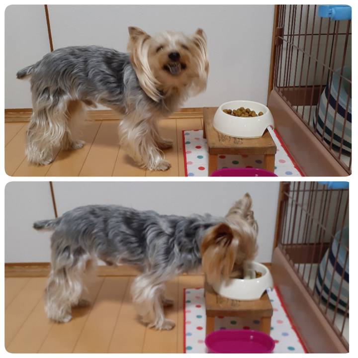 2ff184b3 787d 4083 b85b 48af9a881f46 1641855888565