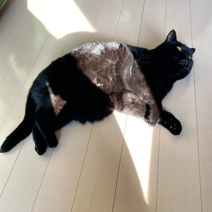 2ff18e46 be8e 4cca b621 cda796cb8e5f 1702872072899