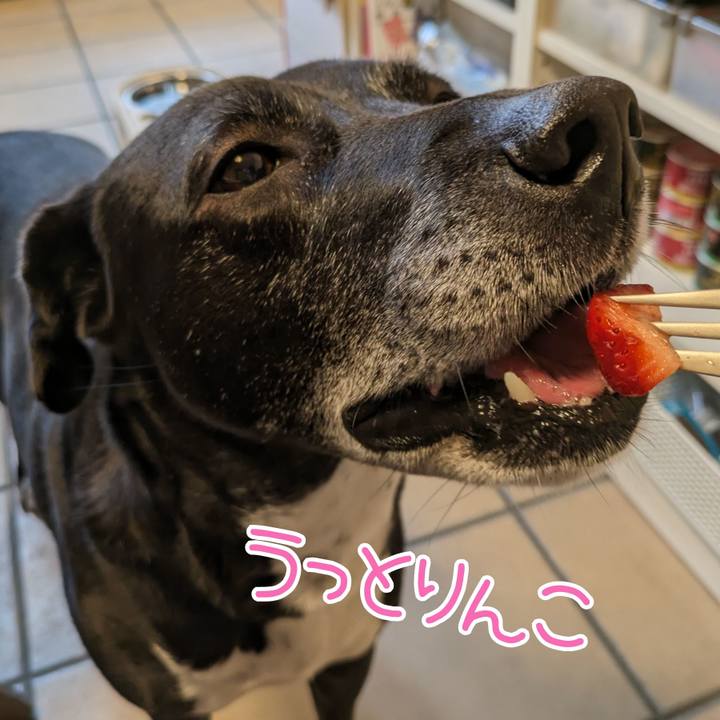 2ff19572 acc2 47f7 a41d 545ff2a30df7 1713868601342