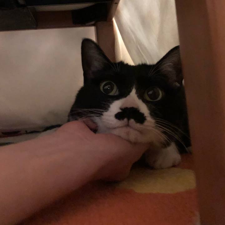 2ff19919 e99f 443c 813f 82568b91549a 1517415757393