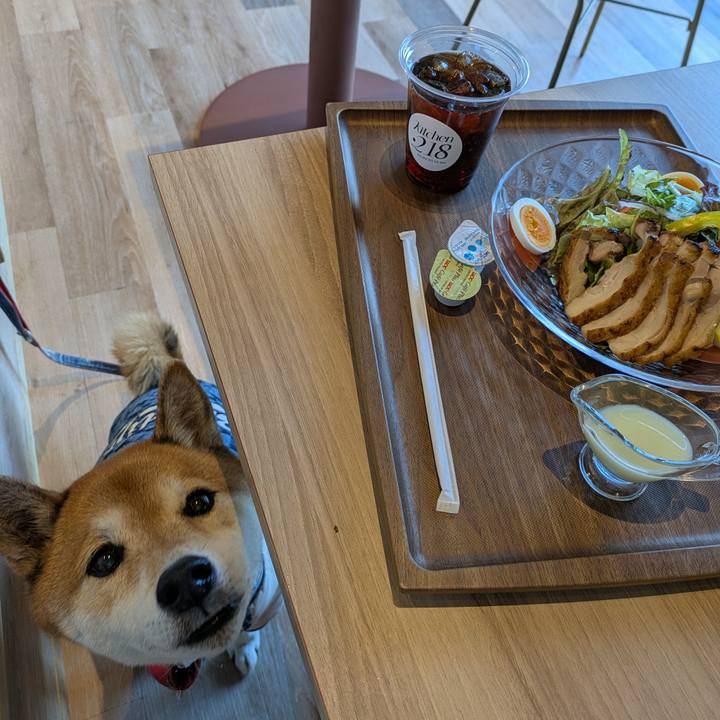 2ff1a1e6 e387 4269 8a2b 889100647d7a 1734620013945