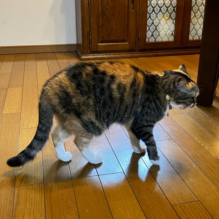 2ff1b40d 8742 4dab a6bd 96b0e7644f35 1773121716860