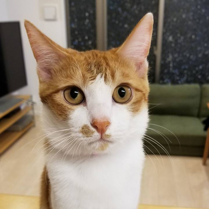 2ff1ef1f 1cd7 45bd 95bf ebe5f5138727 1516974326936