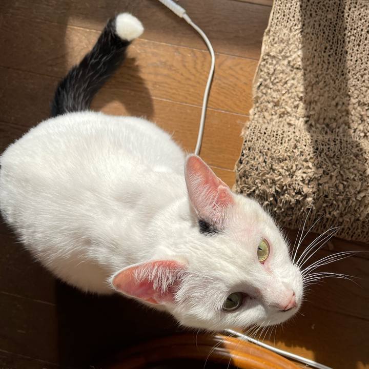 2ff1efec 52a5 4fde b1ba dd5bd9a985f5 1763264867627