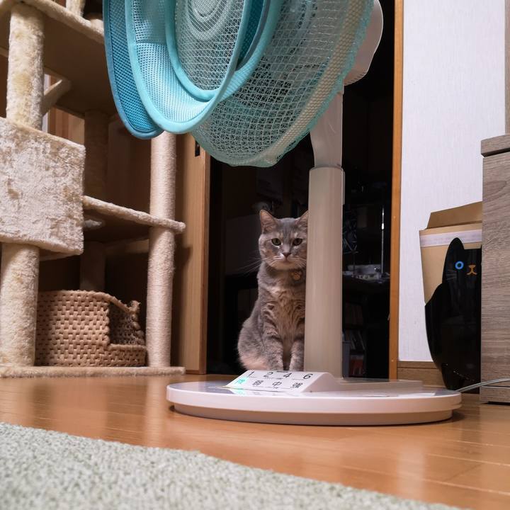 2ff1f704 4b89 481b 9ca3 d1b2d11dd070 1591625666394