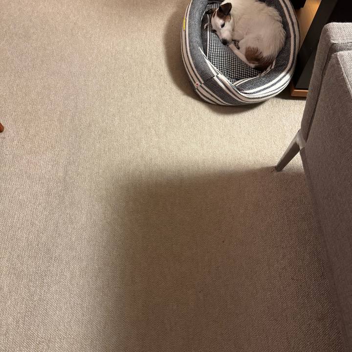 2ff21874 6c26 4a21 87b2 a487aabb36ce 1764775916424