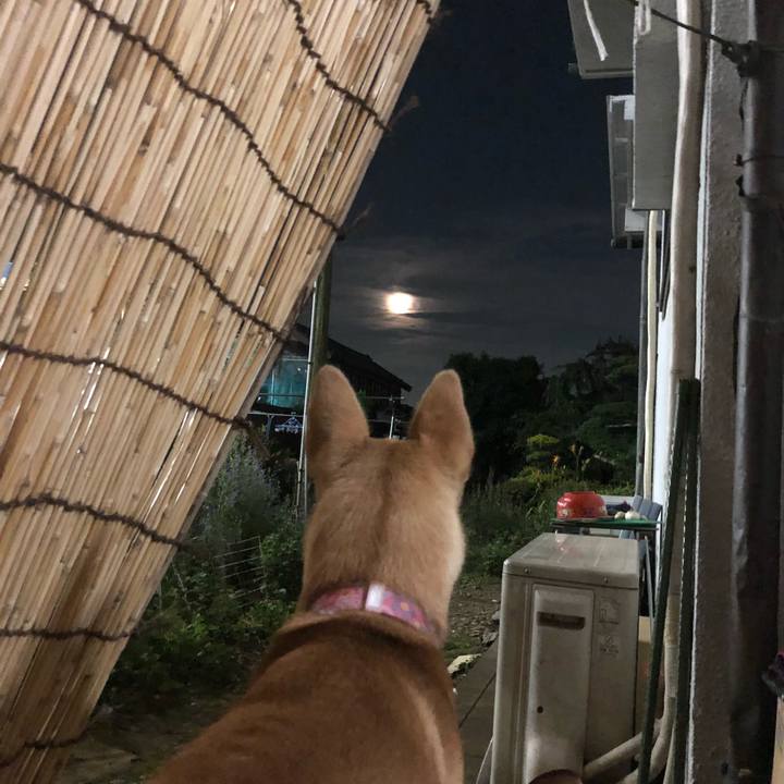 2ff2245c ba45 4ecb 8fb6 5aa410c86172 1530184126330