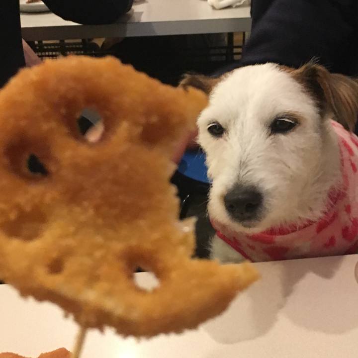 2ff23067 de0d 4e9b b29f 1f2f76f04e7b 1547427228379