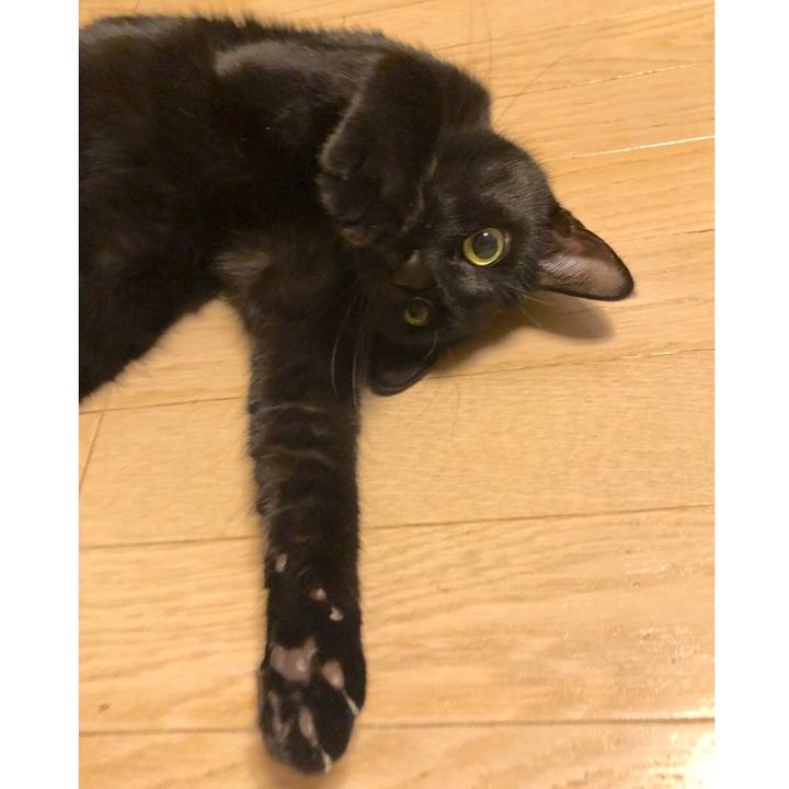 2ff2471c 38c5 4c85 bb7f ae828549c5db 1575288096223