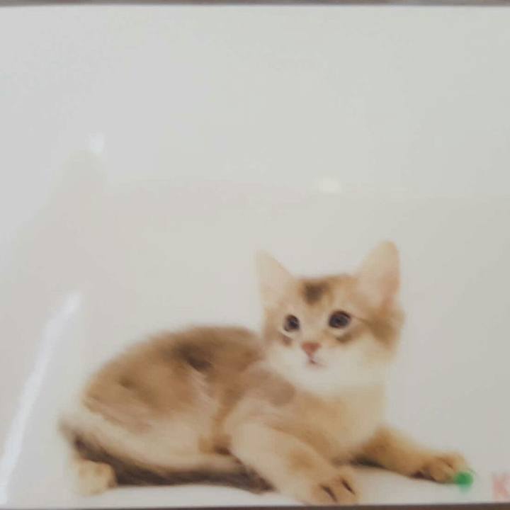 2ff25077 be36 4d85 9cb7 5c6a07c6ae2c 1551445111649