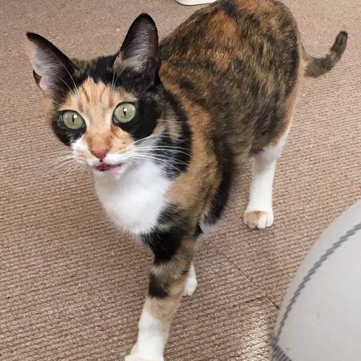 2ff254be fb23 4876 8b19 0e72b589ad4a 1518171274652