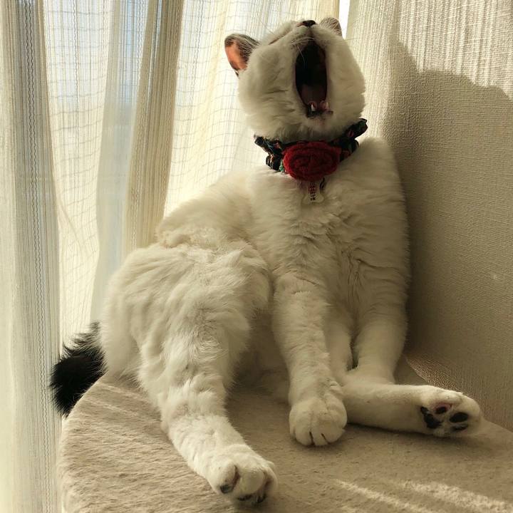 2ff2ddc9 8b63 47e5 a82c a3263ac9e94f 1546327861575