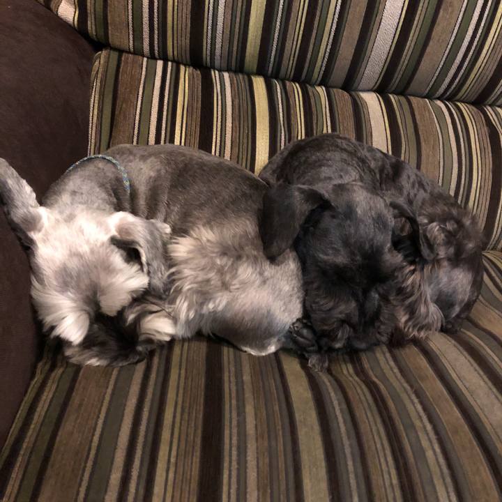 2ff2eaf6 b717 4cbf 89a8 6b35cb3369ad 1547984870484