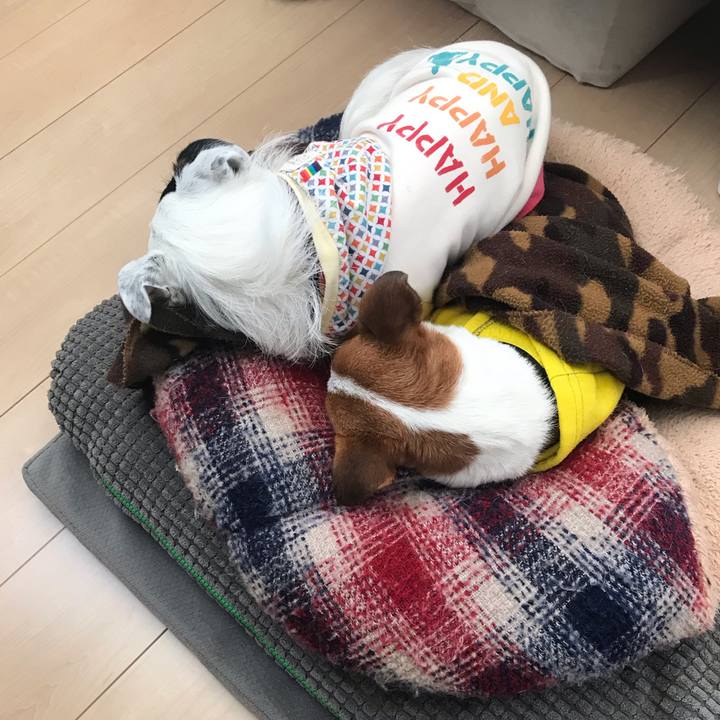 2ff2ed6e 3977 4d57 9390 7235c7b23816 1543533484448