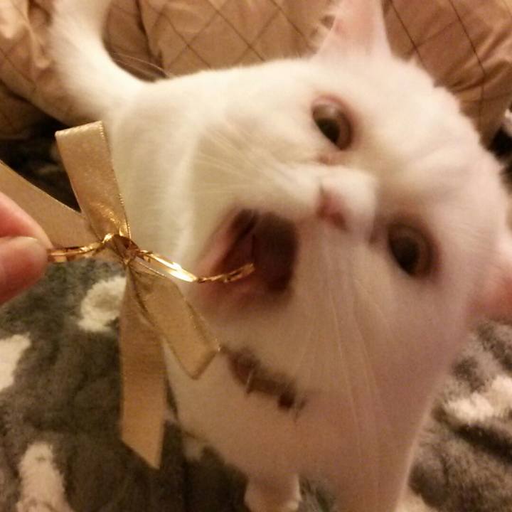 2ff30808 6f4a 40e9 a92e bb03f21a2b10 1524912060670