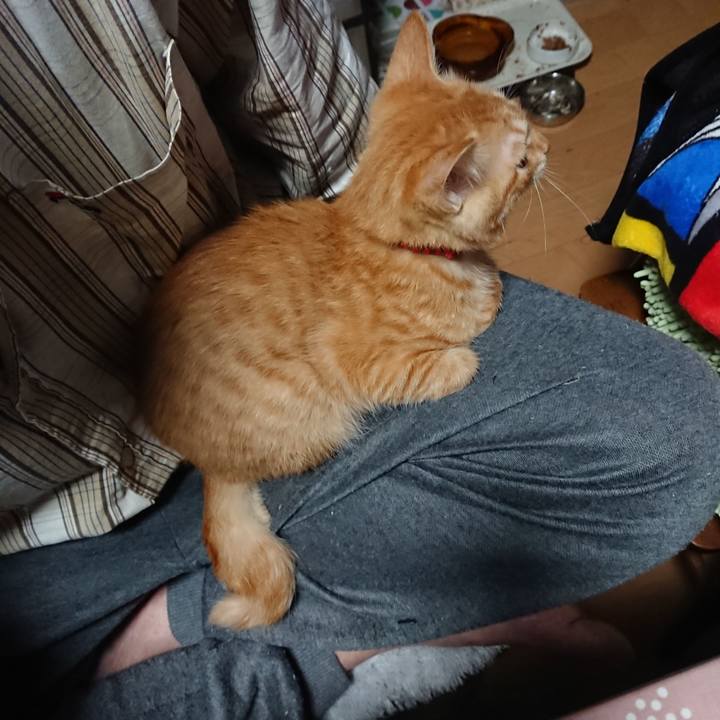 2ff33365 800b 4d3a 8f4d 7cc6af98e4ed 1632948822721