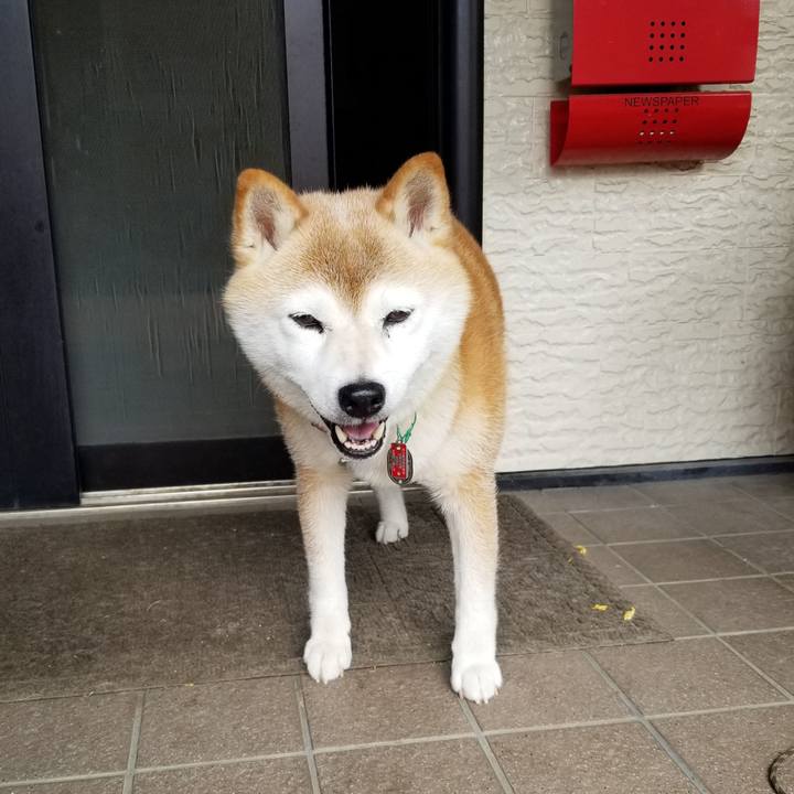 2ff33e43 6136 4e58 ad7b 0b71c7b9eac6 1689744397740