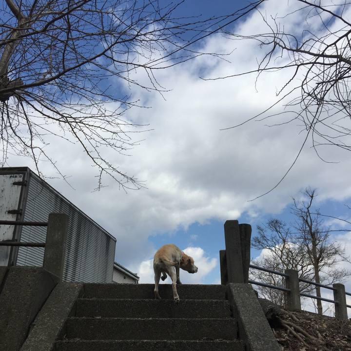 2ff362b0 7869 4559 8426 e3032b90f89a 1548818817816