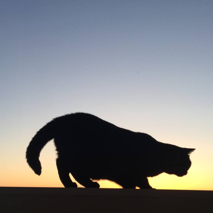 2ff393d5 8e71 4569 bb28 5837ec5e0426 1540108958873