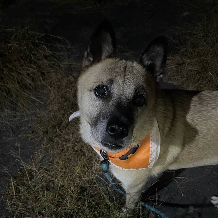 2ff3f013 58d5 48a0 87db 21e326f4a6ef 1698235094514