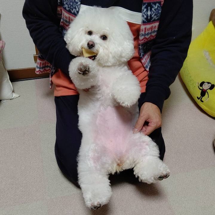 2ff4072c 2781 4736 bc80 4164a1313788 1603891361750