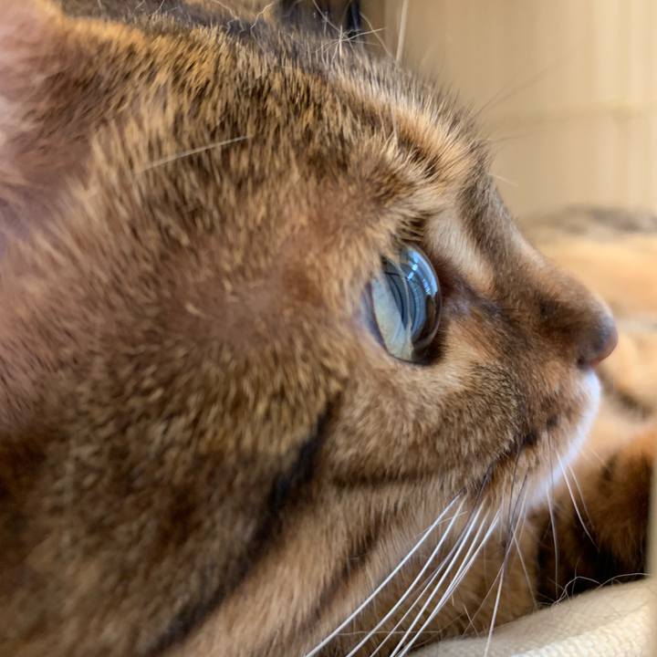 2ff44270 8556 4717 8da1 b9c793c04892 1564295292931