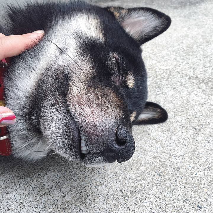 2ff44820 4ad7 4148 b955 e2f842af1035 1526704945957