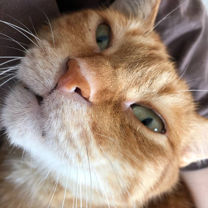 2ff44dba c5e5 434f 941c 0014c6273e52 1641601971497