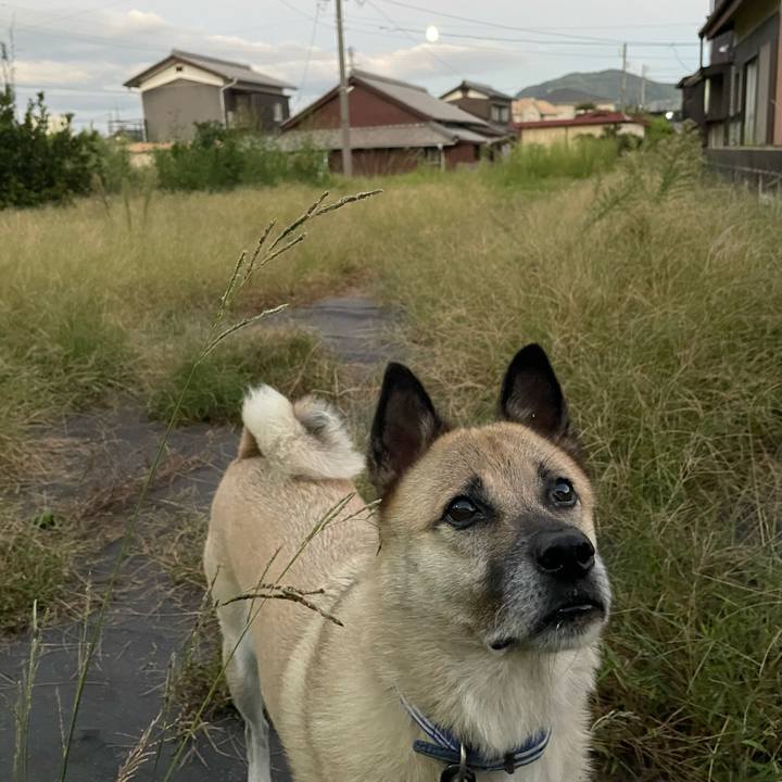 2ff45581 5f03 444f 859c c89ffcb6a454 1695907513519